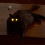 Profile photo of grace