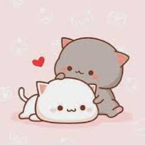 Profile photo of Stella7