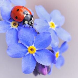 Group logo of 26-JAN M230 2G-2 (Nicole)