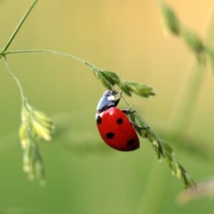 Group logo of 26-JAN M430 1A-2 (Nicole)